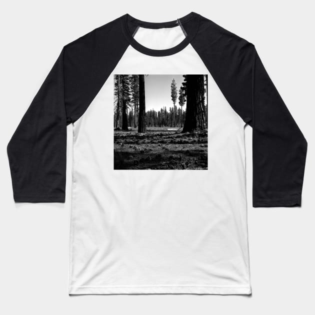 Near Hetch-Hetchy in Yosemite N.P. Baseball T-Shirt by rodneyj46